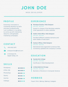 developer resume template